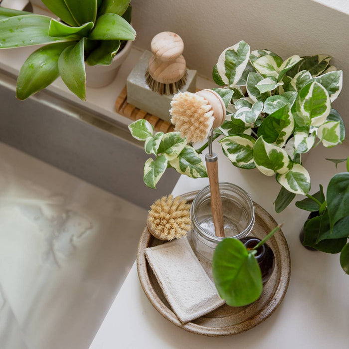 sisal dish brush