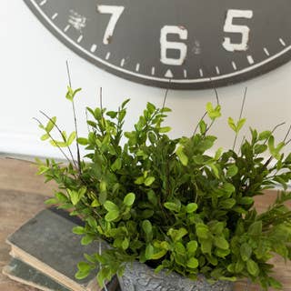 faux boxwood leaf stem