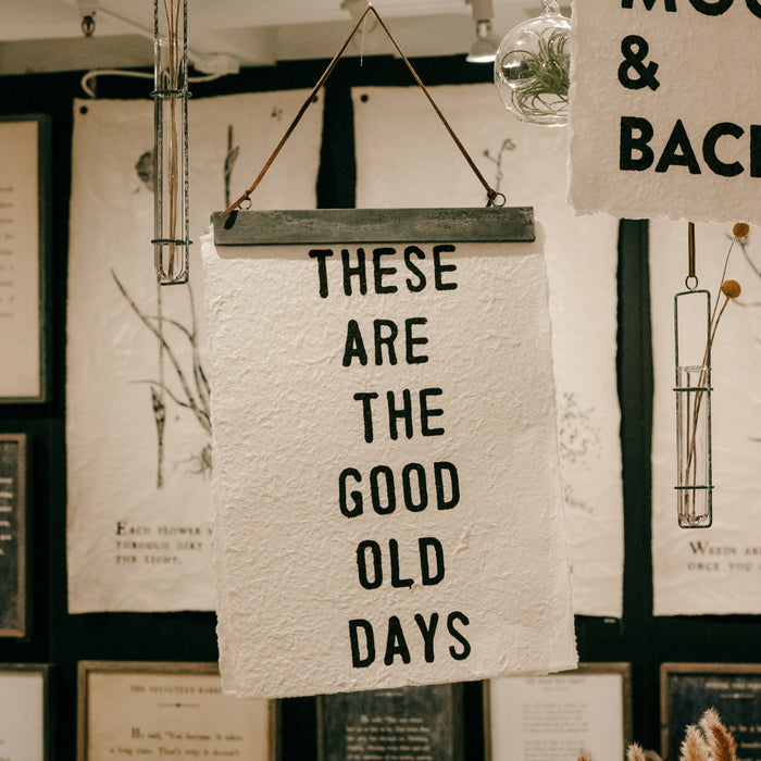 hanging magnetic strip frame - brown suede