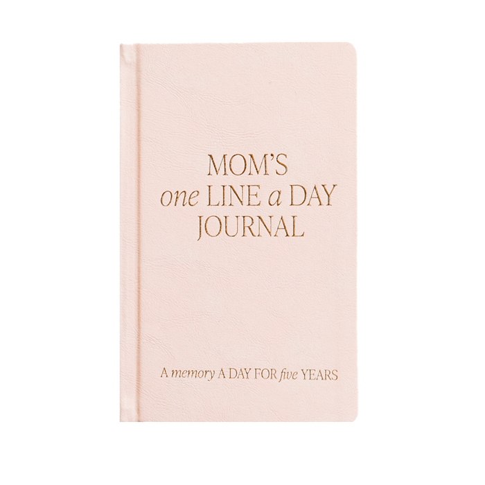 mom's "one line a day" leather journal