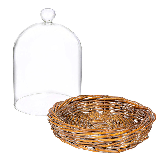 glass cloche with willow base