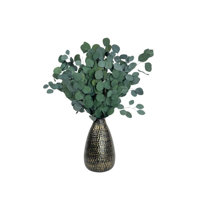 preserved eucalyptus bunch