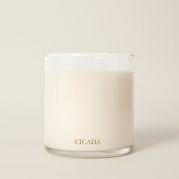 cicada candle, wild prairie 9 oz