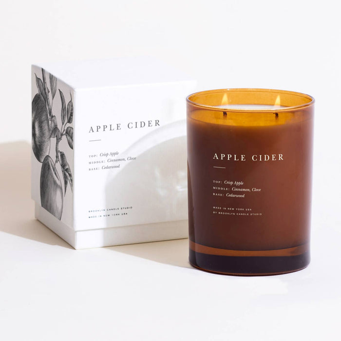 apple cider 2-wick candle