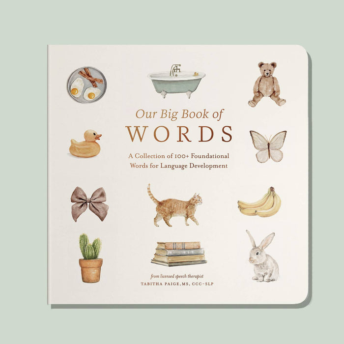 Our Big Book of Words (board book)