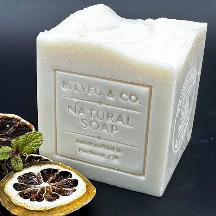 northwest mint solid dish soap