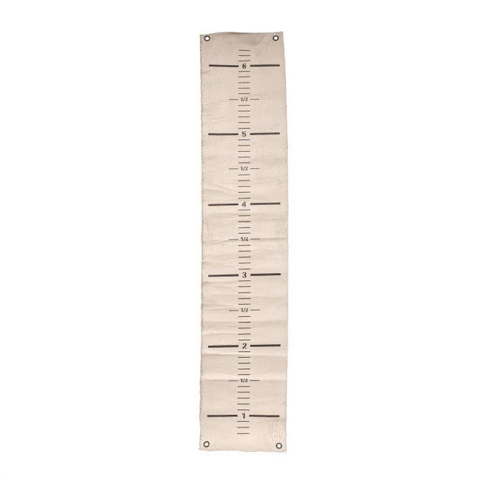 canvas growth chart