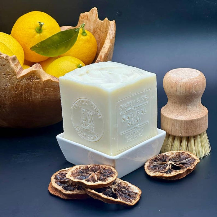 lightly lemon solid dish soap