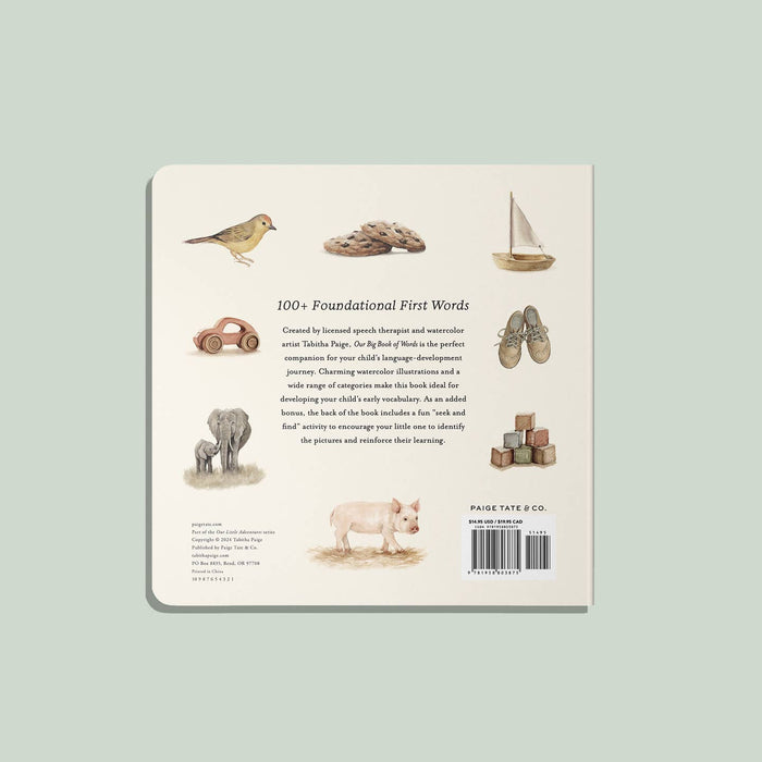 Our Big Book of Words (board book)