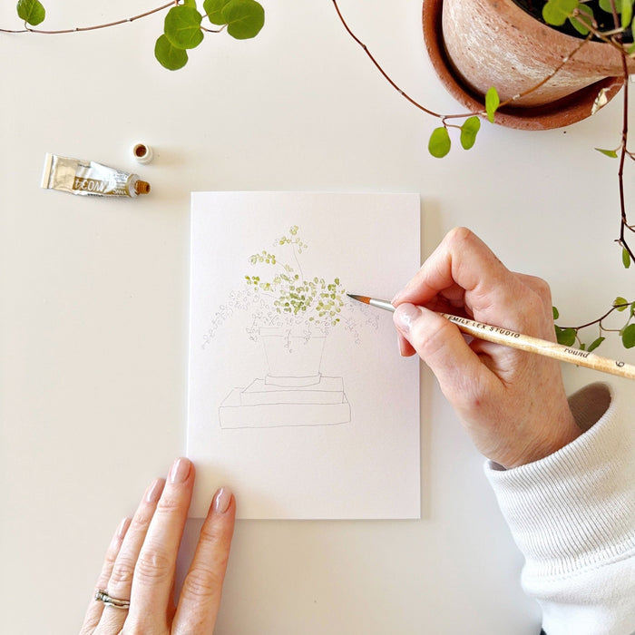 potted plant watercolor notecards