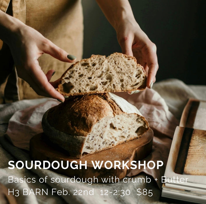 sourdough basics workshop