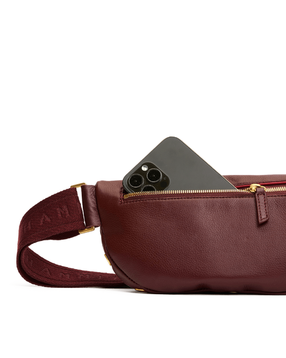 HAMMITT charles crossbody medium in cherrywood pebble