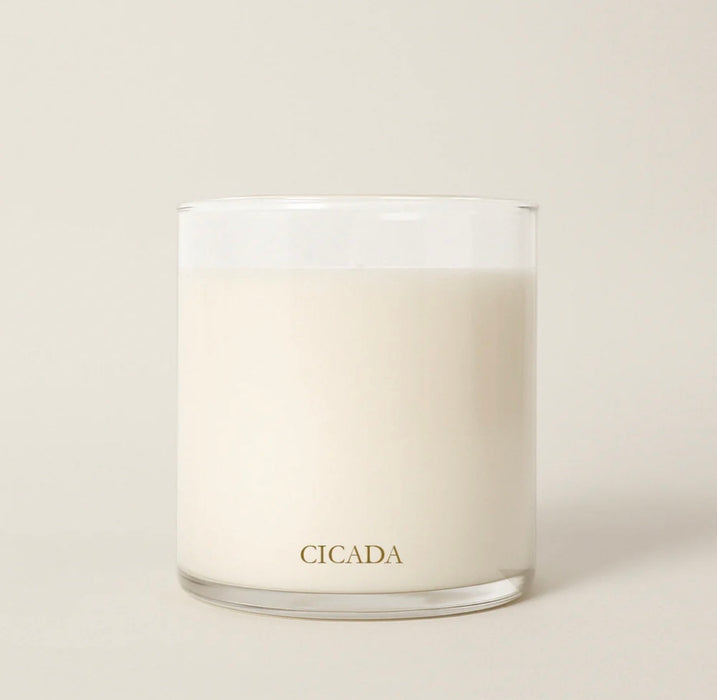 cicada candle No. 2 desert sunshine 9 oz.