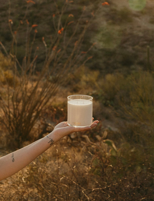 cicada candle No. 2 desert sunshine 9 oz.