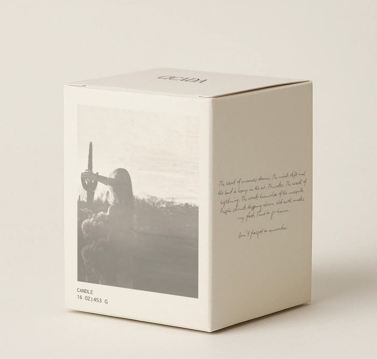 cicada candle No. 6 rivers 16 oz.