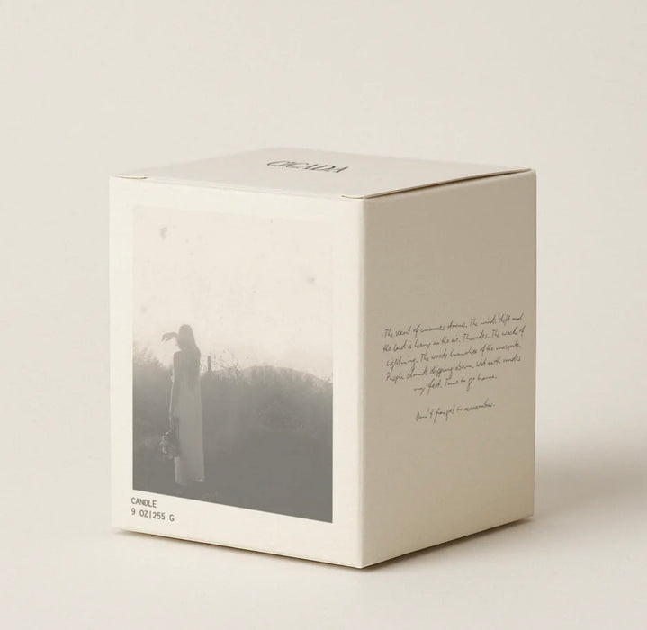 cicada candle No. 2 desert sunshine 9 oz.