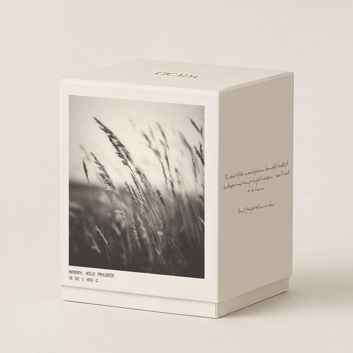 cicada candle, wild prairie 16 oz