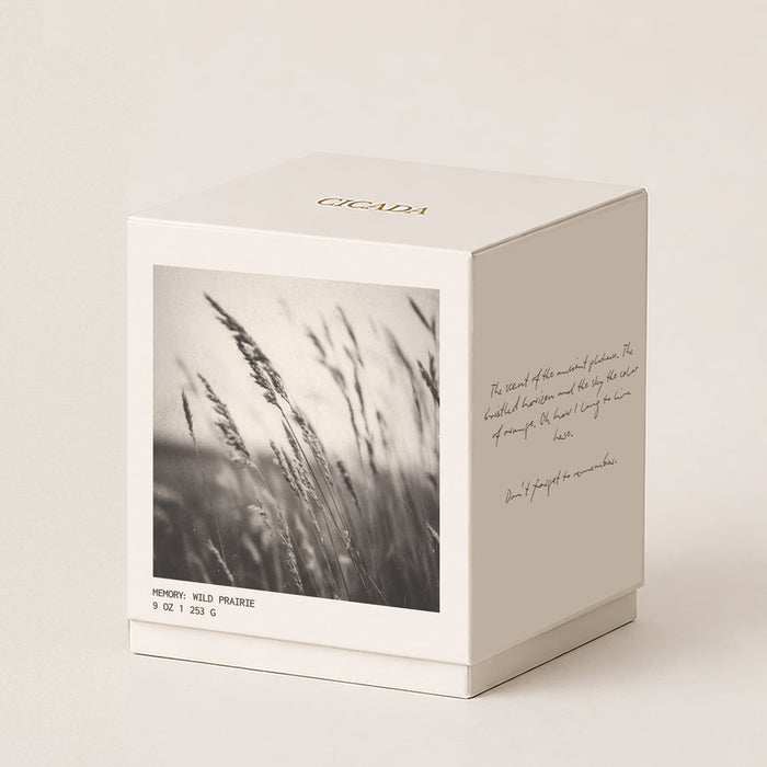 cicada candle, wild prairie 9 oz