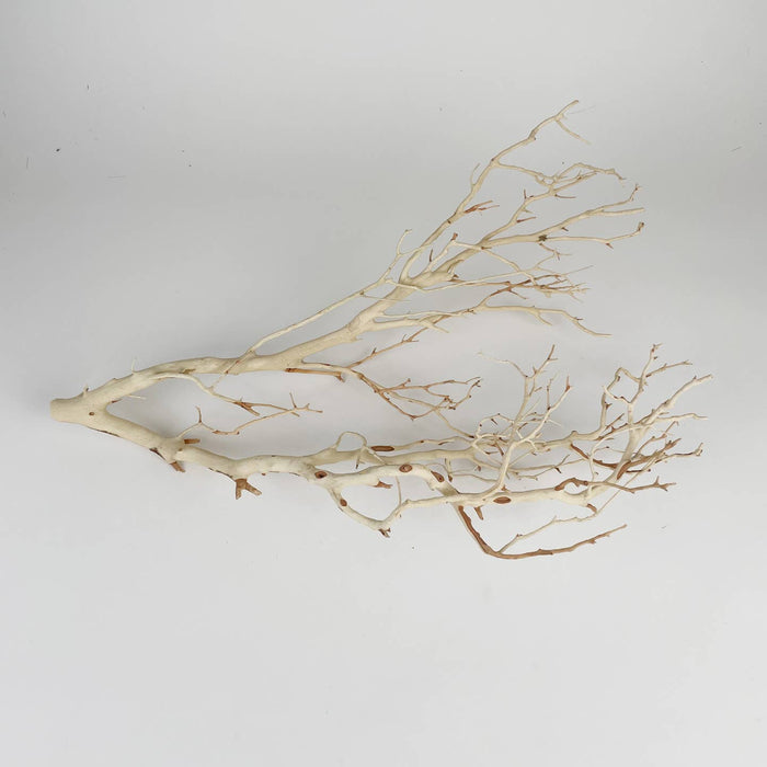 manzanita branch, sandblasted