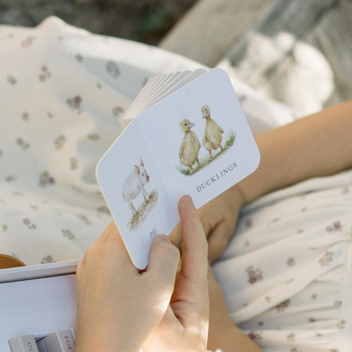 Our Very Little Library (board books)