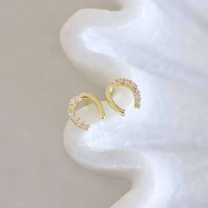 horse shoe earring