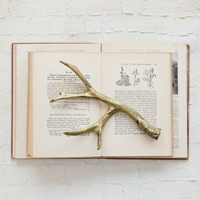 antler, cast iron
