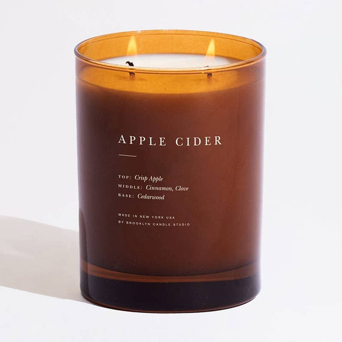 apple cider 2-wick candle