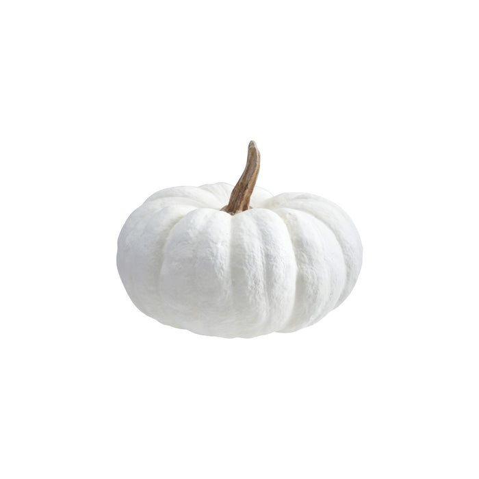 cream pumpkins, 2 sizes