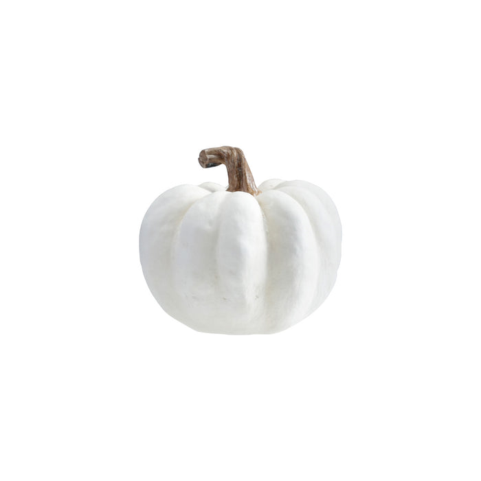 cream pumpkins, 2 sizes