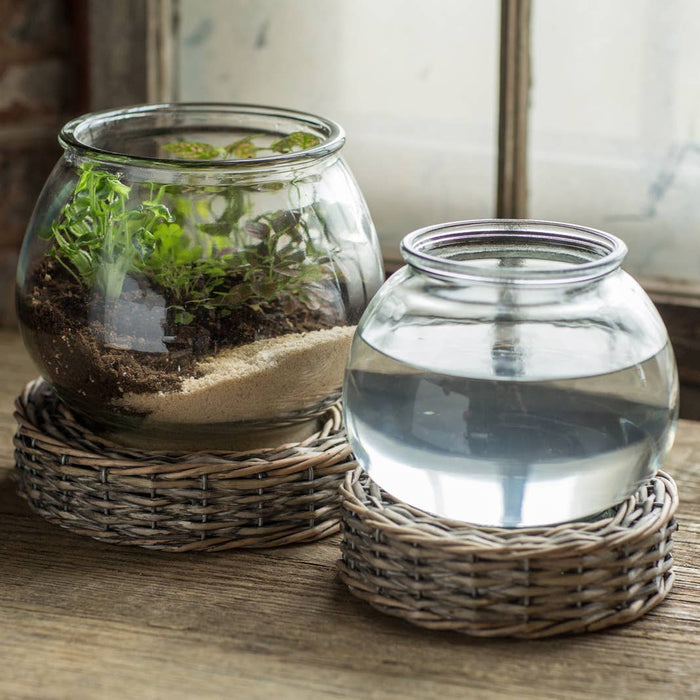 glass + wicker terrarium