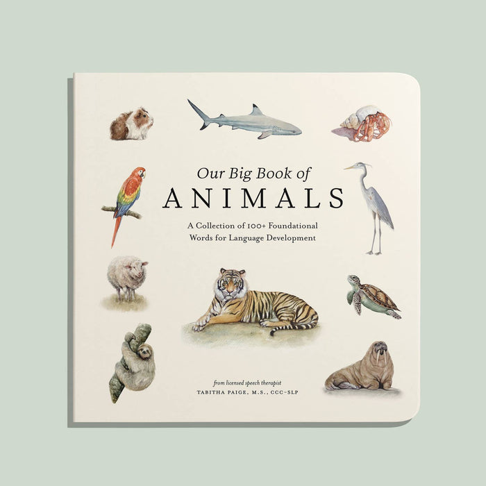 our big book of animals (board book)