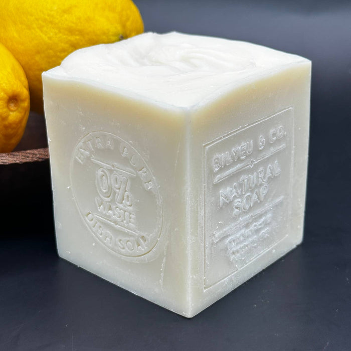 lightly lemon solid dish soap