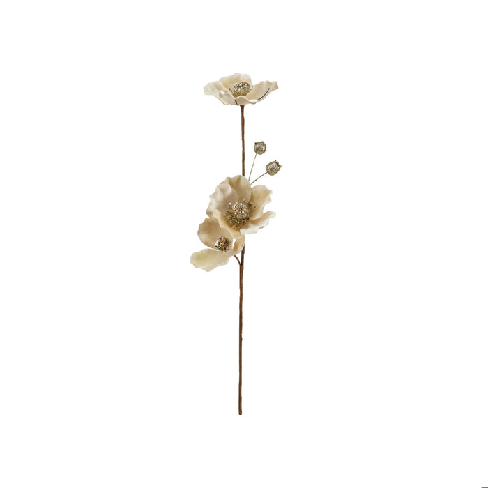 magnolia stem