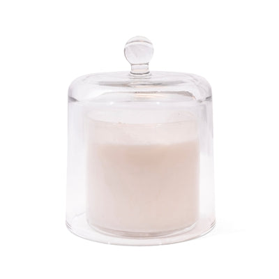 Glass Bell Jar